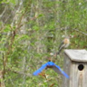 Meet your Posher, Alan